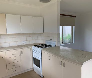 Your Own Quiet Oasis in the Heart of the Suburbs - Photo 3