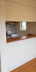 One big unit w/ 1ba & 1br on W12/Oak $1850/month - Photo 4