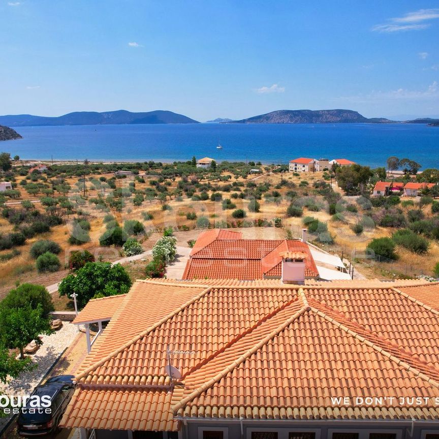 Μεζονέτα για ενοικίαση Αχλαδίτσα (Ερμιόνη) - Photo 1