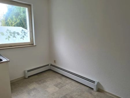 1-Zimmer-Mietwohnung mit Balkon in der Nähe von Symrise, Internat am Solling zu vermieten - Foto 3