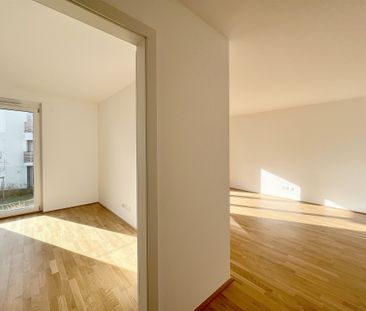 NEUE - 2Zi- 53,26qm- WBalkon-MIETE, Lift, Tiefgarage, in beliebter ... - Photo 1