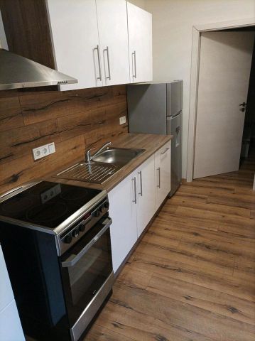 Einliegerwohnung mit 2 Zimmer - Photo 4