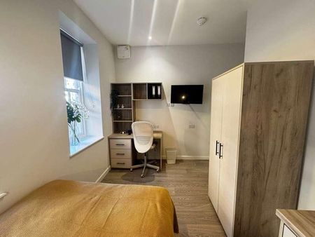 The Dolphin Classic, Boutique Student Living, SO14 - Photo 4