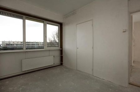 Apartment Amsterdam - Boutenburg - Photo 5