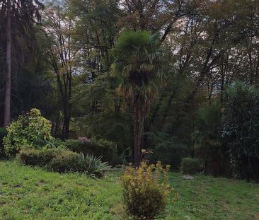 13 m² - Foto 5