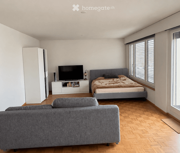 Dachwohnung in Zürich Oerlikon in grüner Lage - Photo 1