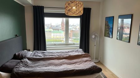 Carlsgatan, Malmö - Foto 5