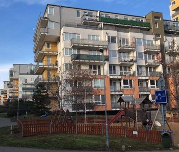 Pronájem bytu 2+kk • 50 m² bez realitkyPod Harfou, Praha - Vysočany - Photo 2