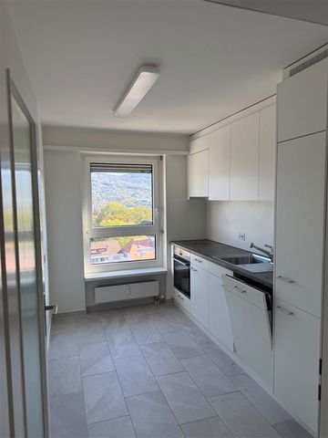 Grosszügige 3-Zimmerwohnung mit Aussicht über Reinach - Foto 2