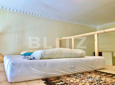 Garsoniera Pet-Friendly, 30 mp, zona strazii Horea - Fotografie 4