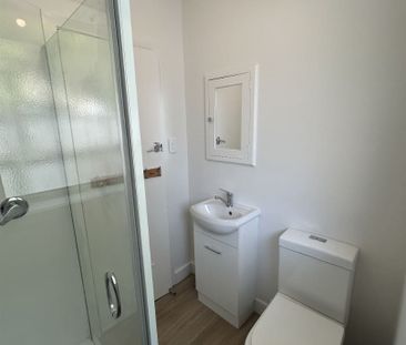 Newly Renovated Richmond Unit. - Photo 3