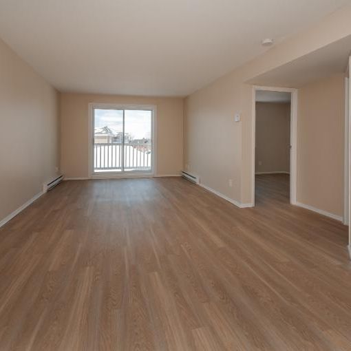 Appartement 4 ½ à louer Sainte-Foy / Sillery juillet 2026 - Photo 1