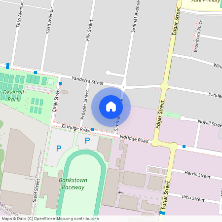 116 Simmat Avenue, NSW 2200, Condell Park