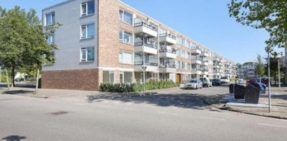 Agavedreef, 3563 EN Utrecht, Nederland - Foto 2