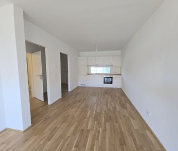 ERSTBEZUG: geförderte 2 Zimmer-Wohnung mit großem Balkon in zentral... - Photo 1