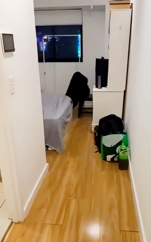 Studio Apartment - Photo 2