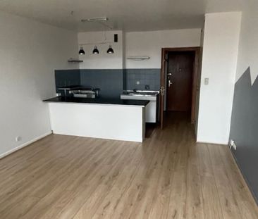 Location Appartement 1 pièce 29m² VANDOEUVRE LES NANCY 54500 - Photo 6
