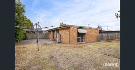 Central Mitchells Lane - Large Rear Yard! - Photo 4