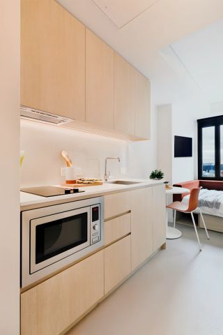 Premium Studio Apartment - Photo 5