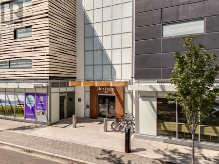 Downtown: 1 bed – SubPenthouse at Bertram - Photo 3