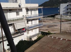 Διαμέρισμα για ενοικίαση - Μαρκόπουλο, - Photo 5