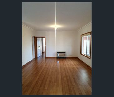 Hi, I'm the Perfect Balance of Nature and City Life - Photo 4