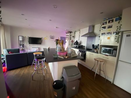 Room in a Shared Flat, Bagot Street, B4 - Photo 5