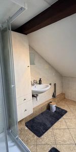 Chambre meublé de 19 m2 en colocation dans un T4 pièces de 97m2- STRASBOURG - NEUDORF - Photo 4