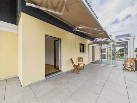 3.5 Zimmer, EG - Photo 5