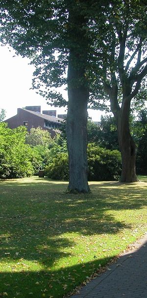 Nydalavägen 34 B - Photo 2