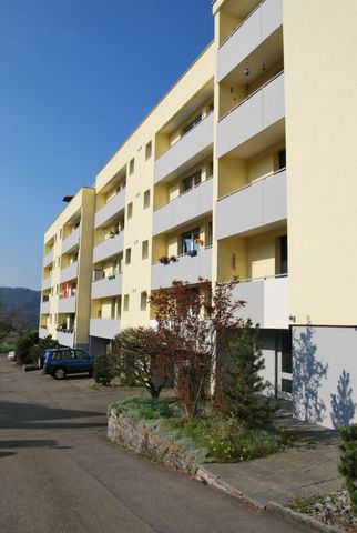 #verliebtinschaffhausen - wundervolle Wohnung mit neuer Küche, neuem Bad und sonnigem Balkon - Photo 5