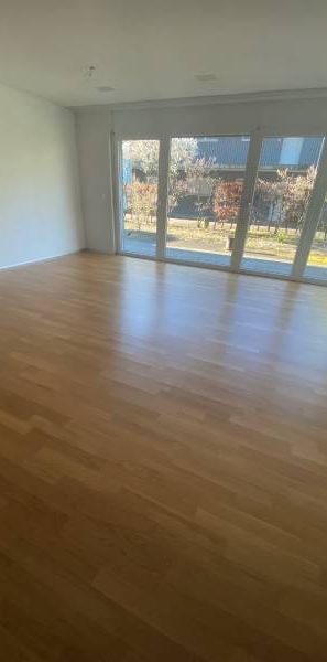 Nachmieter/in ab 01.12.2025 gesucht - Photo 1