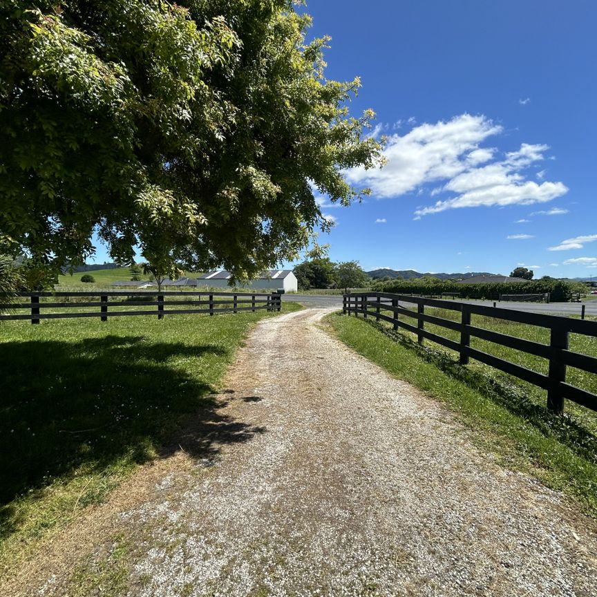 375 Waring Road, Taupiri - Photo 1