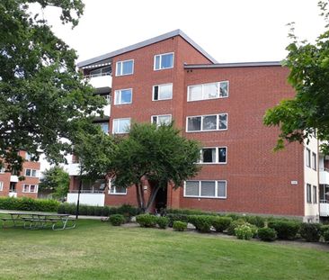 Lundborgsesplanaden 8 A - Photo 5
