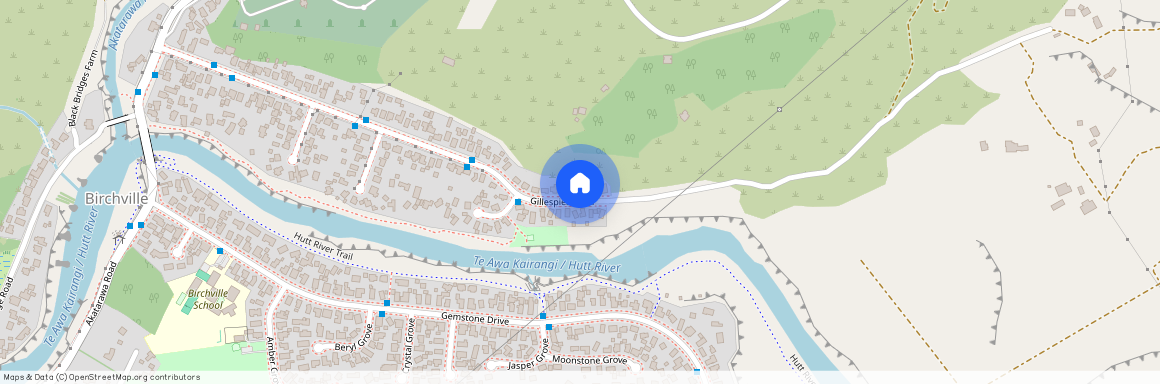 101 Gillespies Road, Birchville