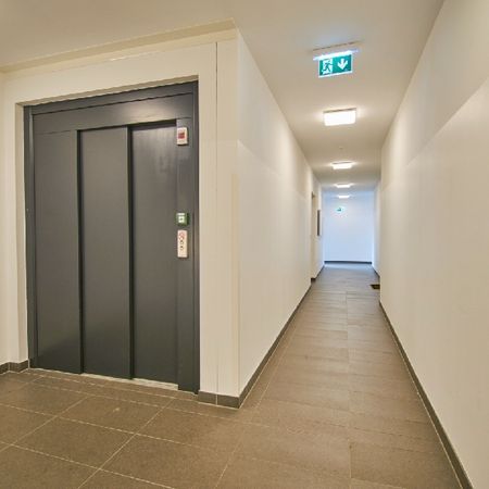 Sonnenterrasse über den Dächern Oberlaa! - Photo 3