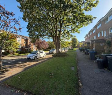 3 bedroom house to rent - Photo 4