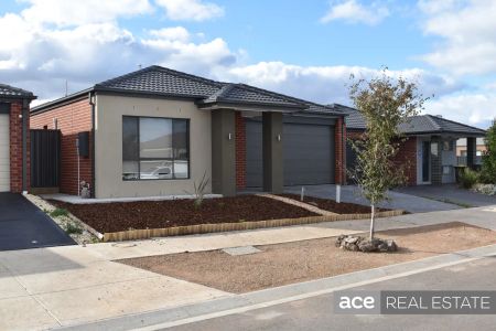 “Incredible House for Growing Family” - Photo 2