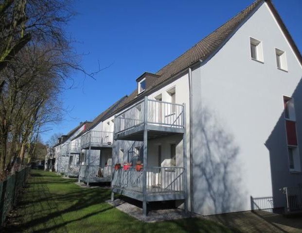 Schöne, helle, frisch gestrichene 2-Zimmer-Wohnung - Photo 1