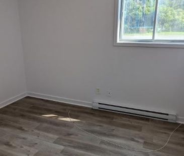 Deux magnifique Grandes Chambres à Louer - Photo 3