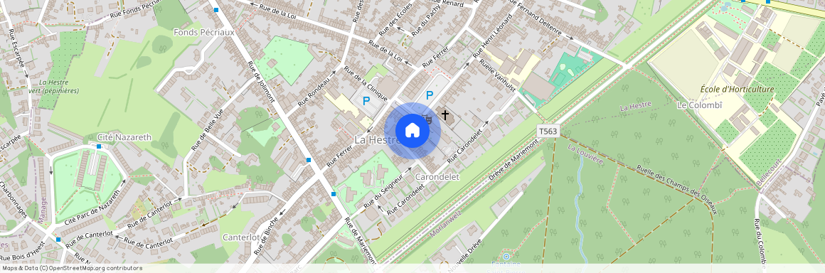 Rue Du Seigneur, 1, 3, 7170, Manage (La Hestre)