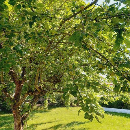 Torparegatan 2 - Foto 4