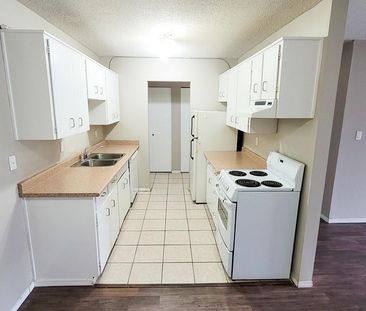 Dahlstrom Manor - Photo 5