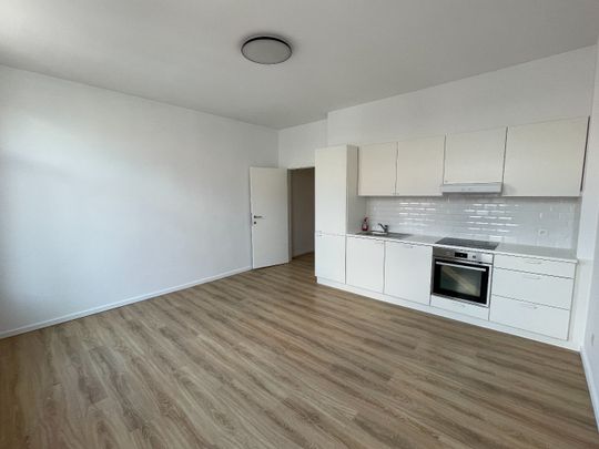 1 slpk-appartement te Antwerpen - Photo 1