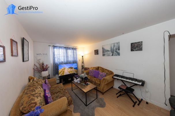 2375-2475 d’Alger / 2453-2465 Père-Lelièvre - Photo 1