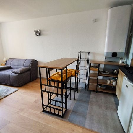 Location Appartement 1 pièce 22m² - Photo 3