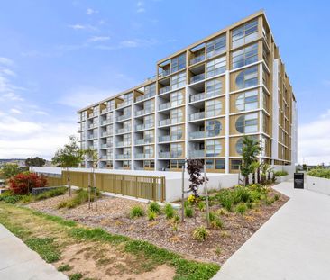 G08/1 Holborow Avenue, Denman Prospect ACT 2611 - Apartment For Ren... - Photo 4