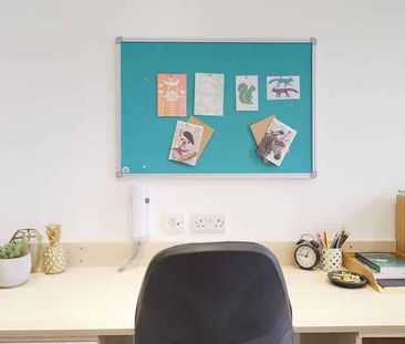 Classic Studio - Photo 5