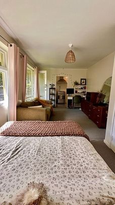 This beauty is such a cutie - Photo 1