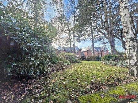 Apartment to rent on - Photo 3